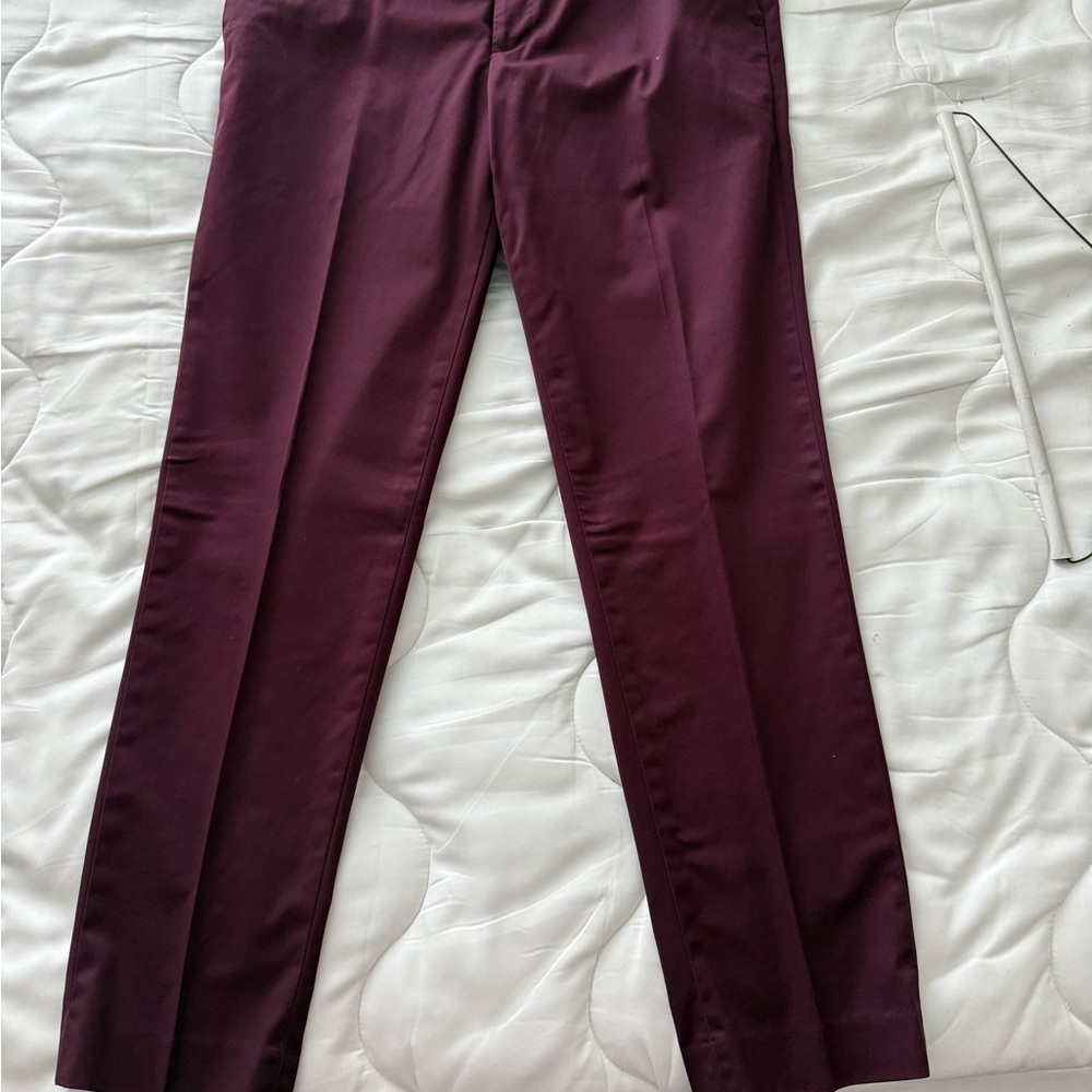 Express Men's Wine Dress Pants